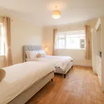 Hillside House- Pine View Apartment Ballinamuck